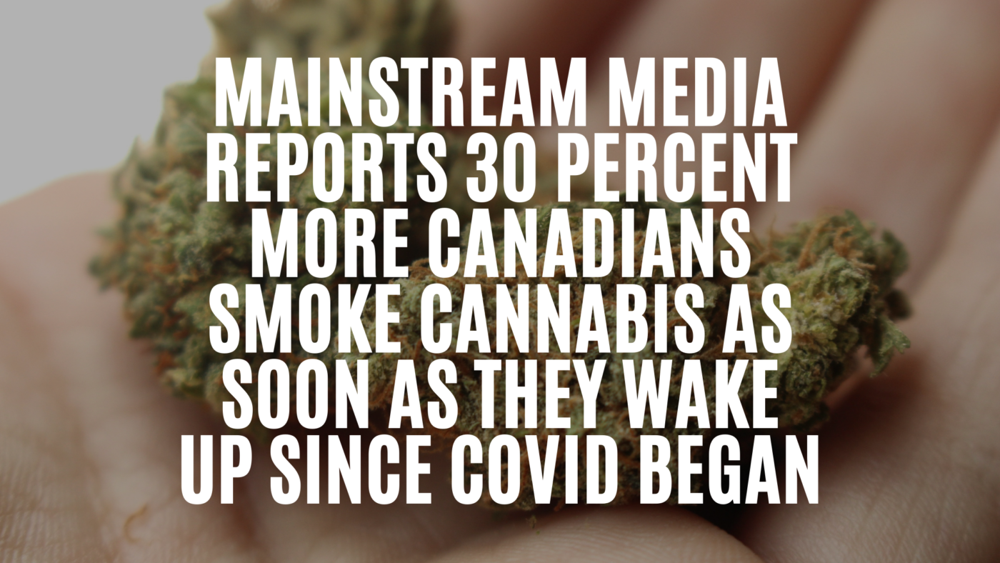 mainstream-media-reports-30-percent-more-canadians-smoke-cannabis-as-soon-as-they-wake-up-since-covid-began
