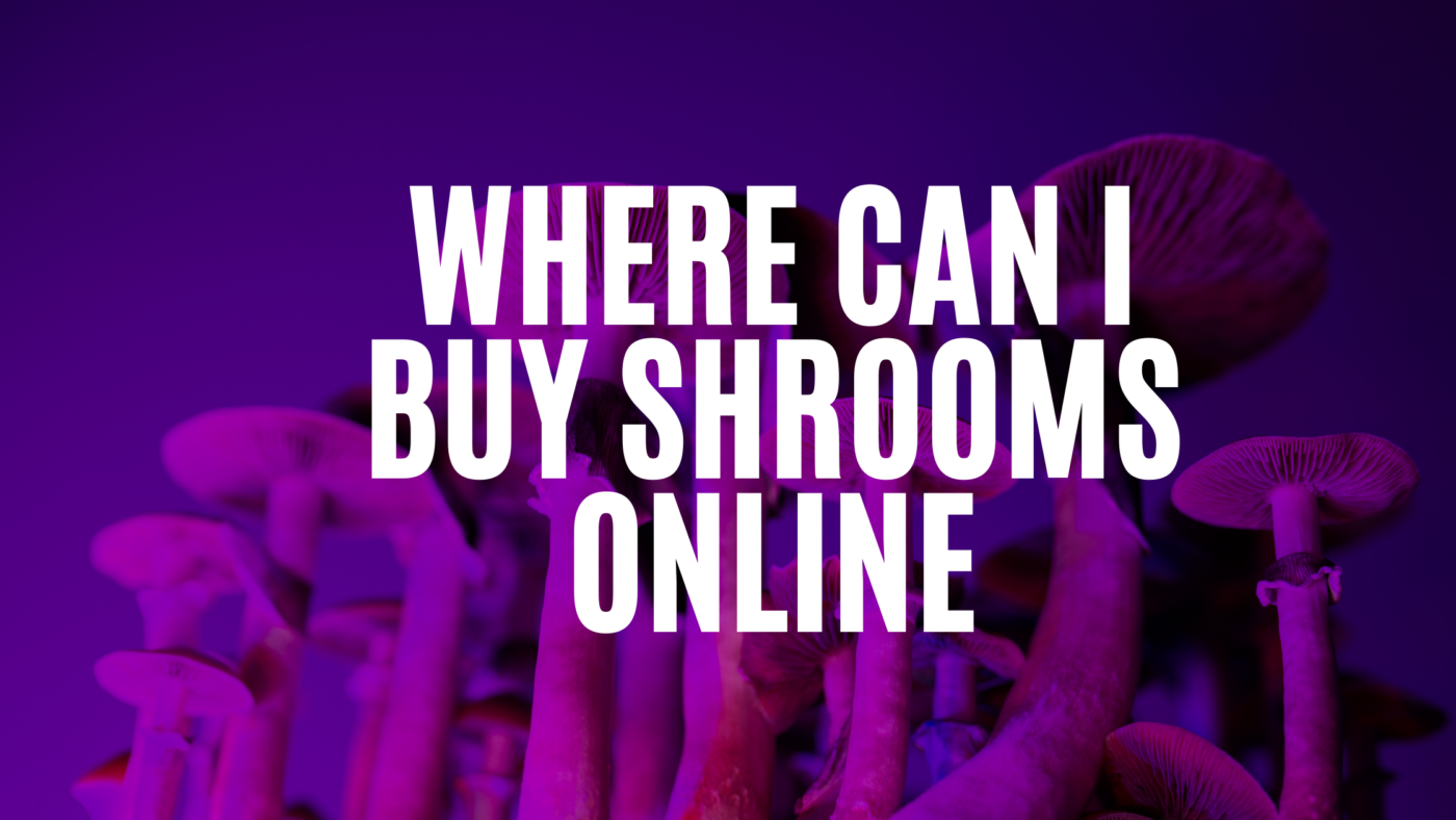 where-can-i-buy-shrooms-online