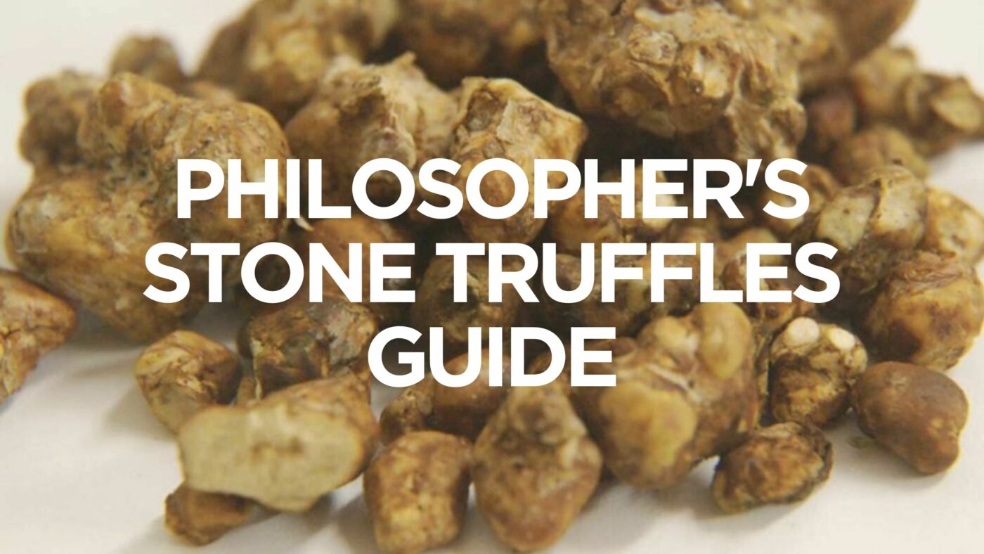 philosopher's-stone-truffles-guide
