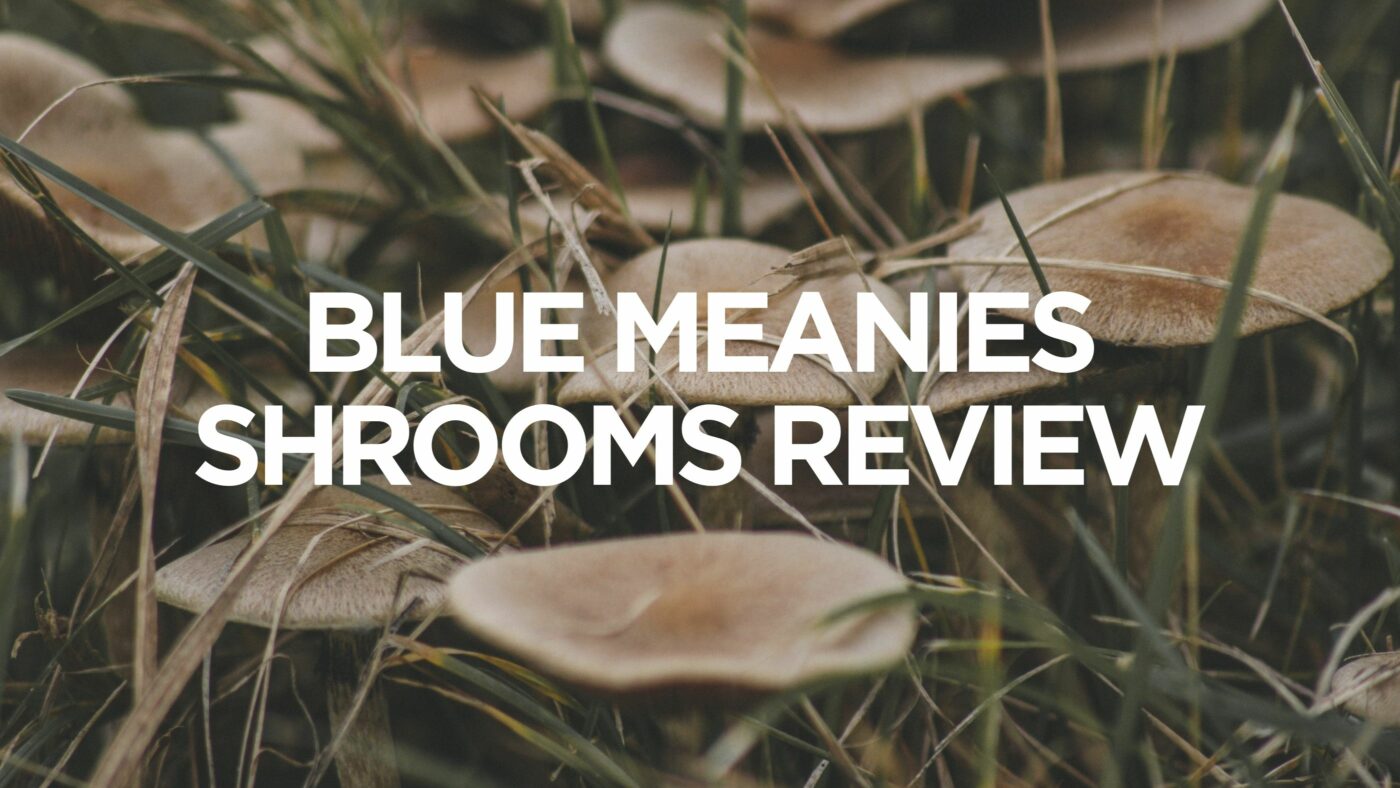 blue-meanies-shrooms-review