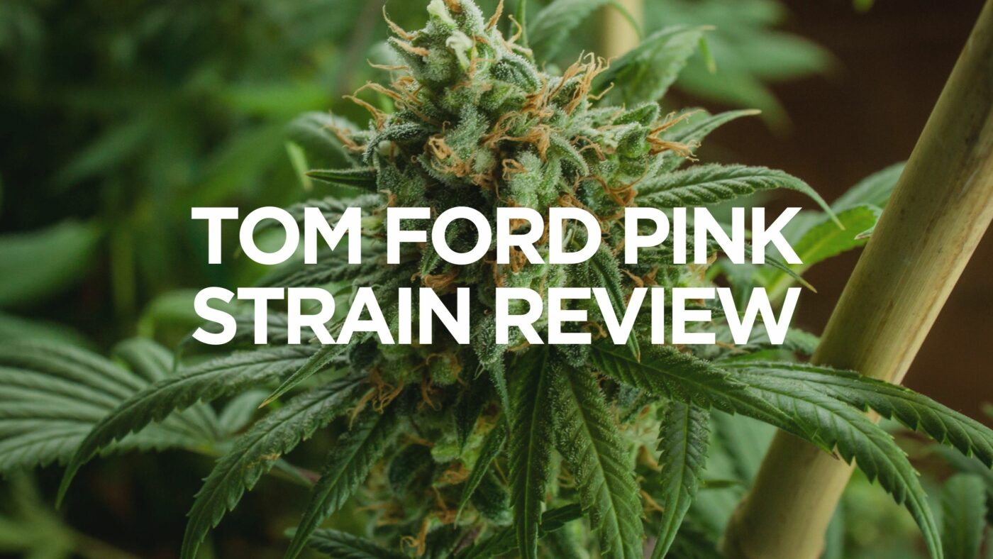 tom-ford-pink-strain-review