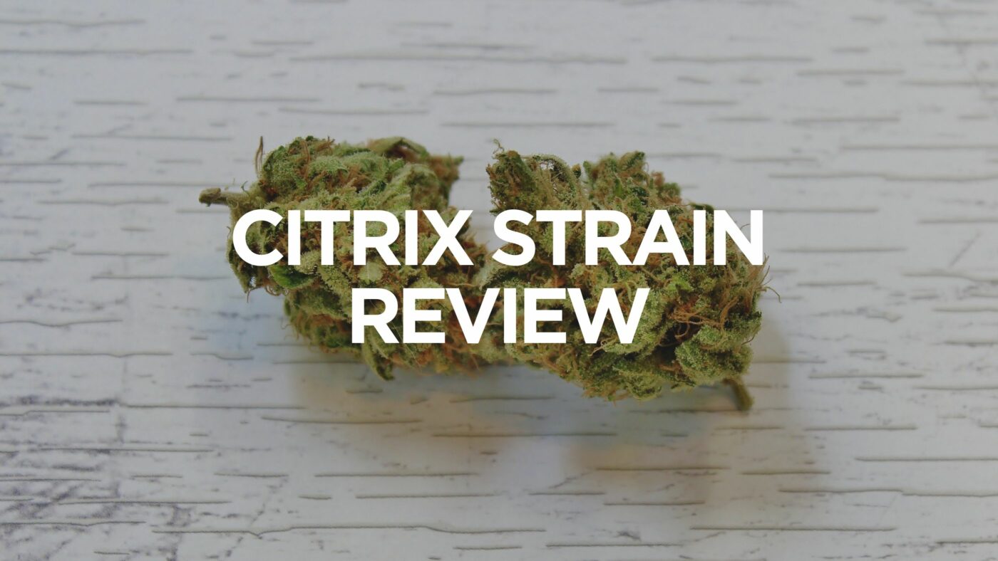 citrix-strain-review