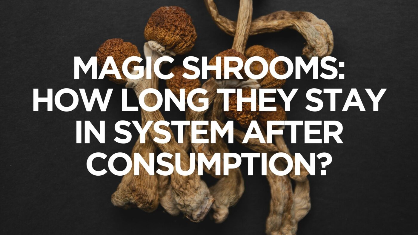 magic-shrooms-how-long-they-stay-in-system-after-consumption
