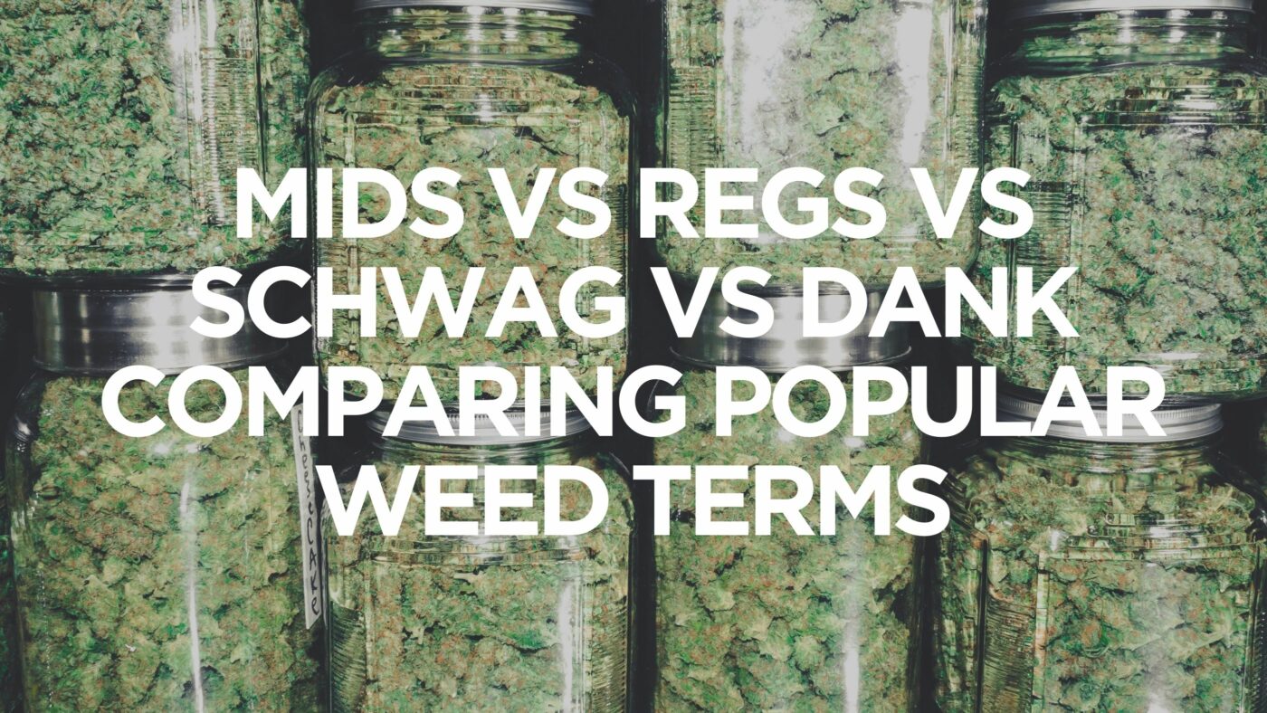 mids-vs-regs-vs-schwag-vs-dank-comparing-popular-weed-terms