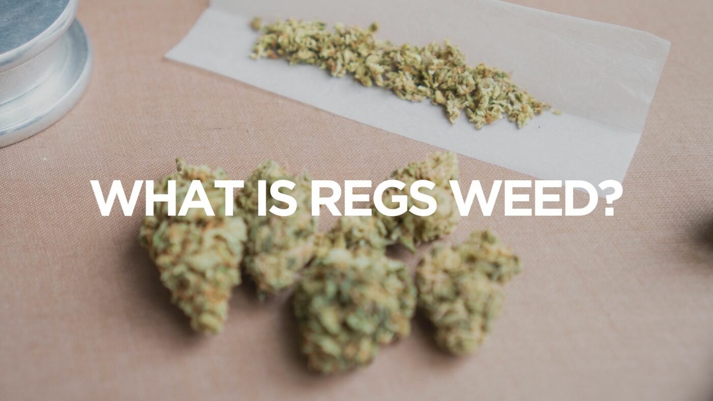 what-is-regs-weed
