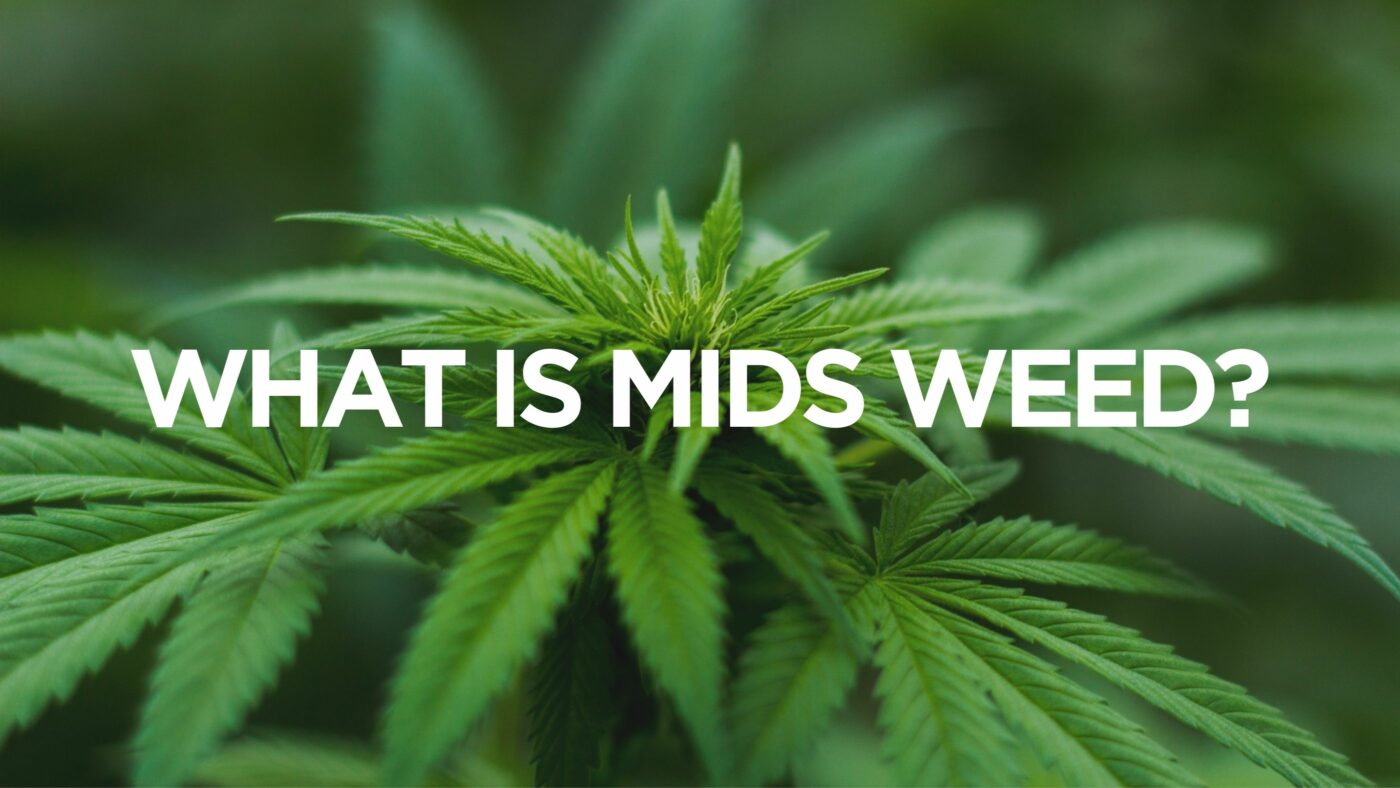 what-is-mids-weed