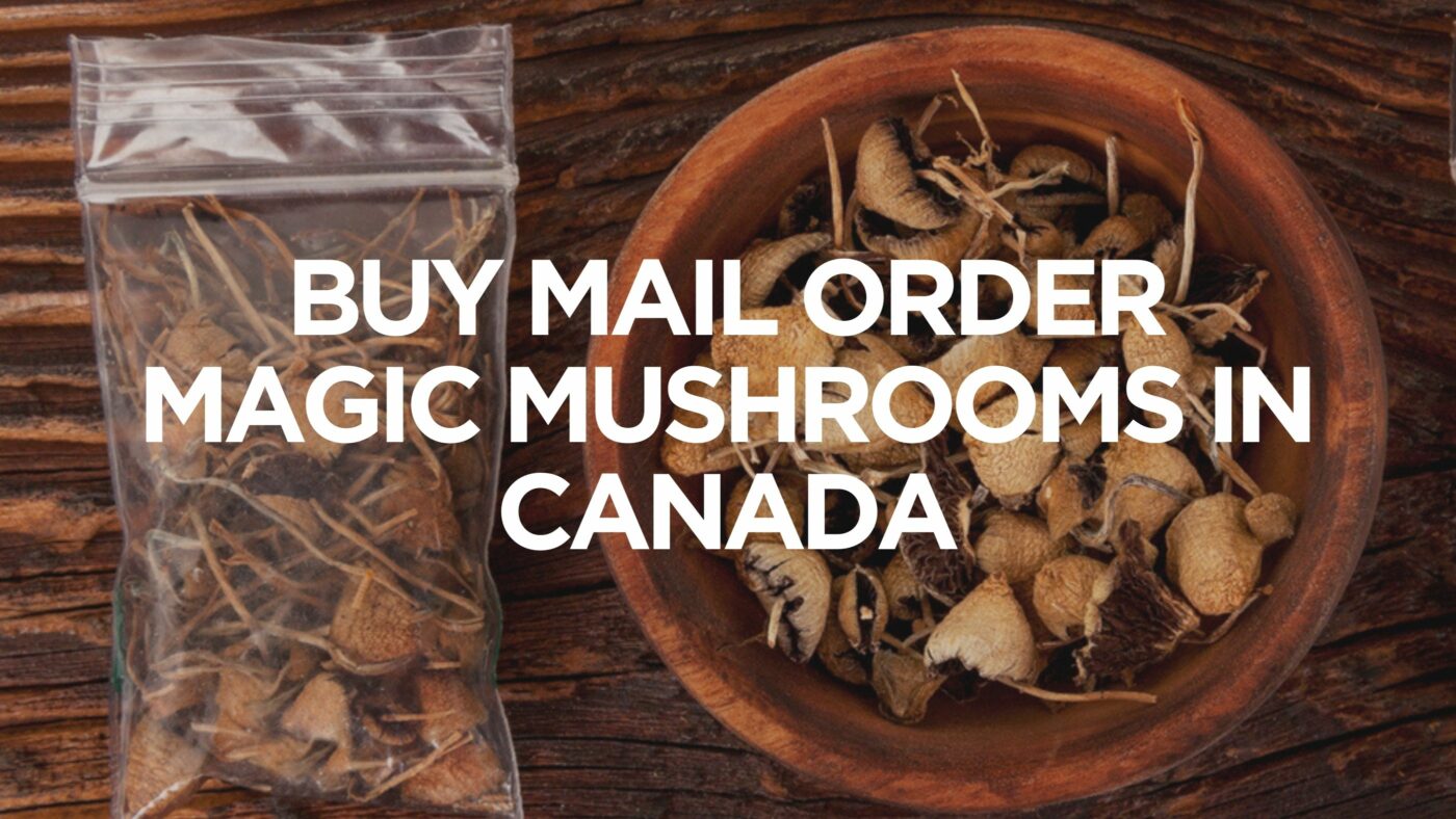 buy-mail-order-magic-mushrooms-in-canada