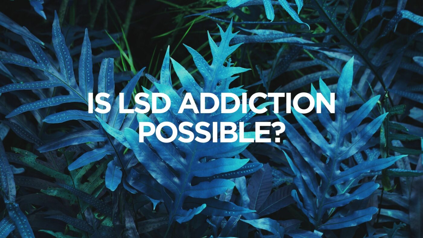 Is LSD Addiction Possible