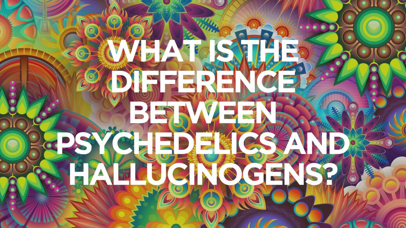 What Is The Difference Between Psychedelics And Hallucinogens