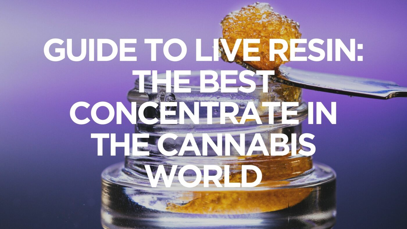 Guide to Live Resin The Best Concentrate in the Cannabis World
