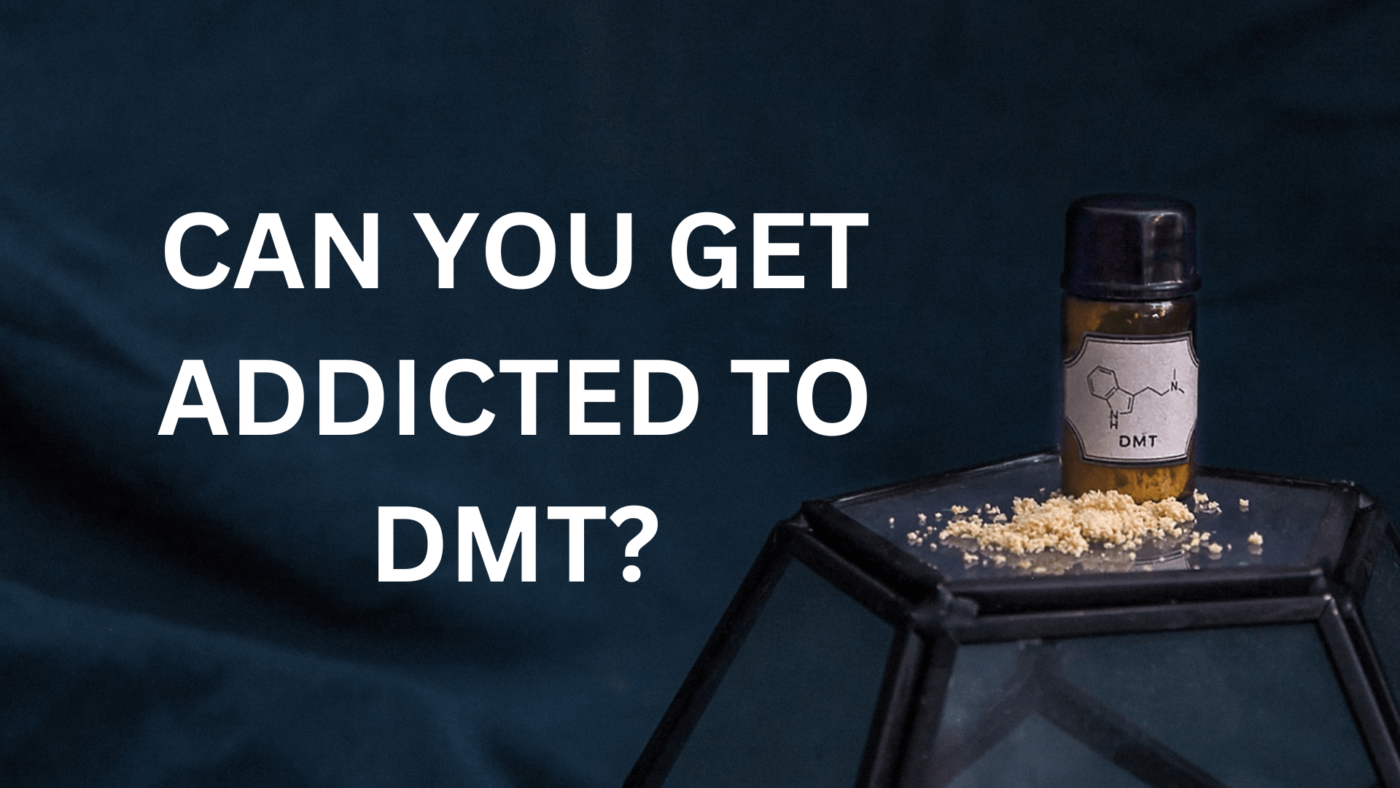 can you get addicted to dmt