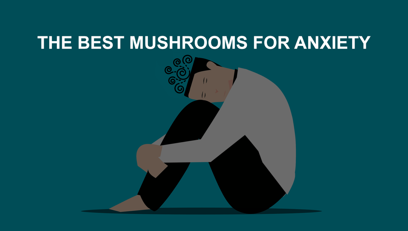 THE BEST MUSHROOMS FOR ANXIETY