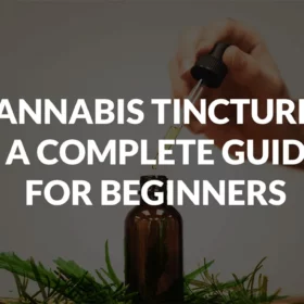 Cannabis Tinctures – A Complete Guide For Beginners