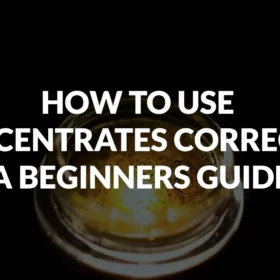 How to Use Concentrates Correctly: A Beginners Guide