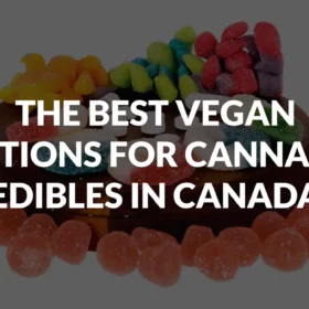 The Best Vegan Options For Cannabis Edibles in Canada
