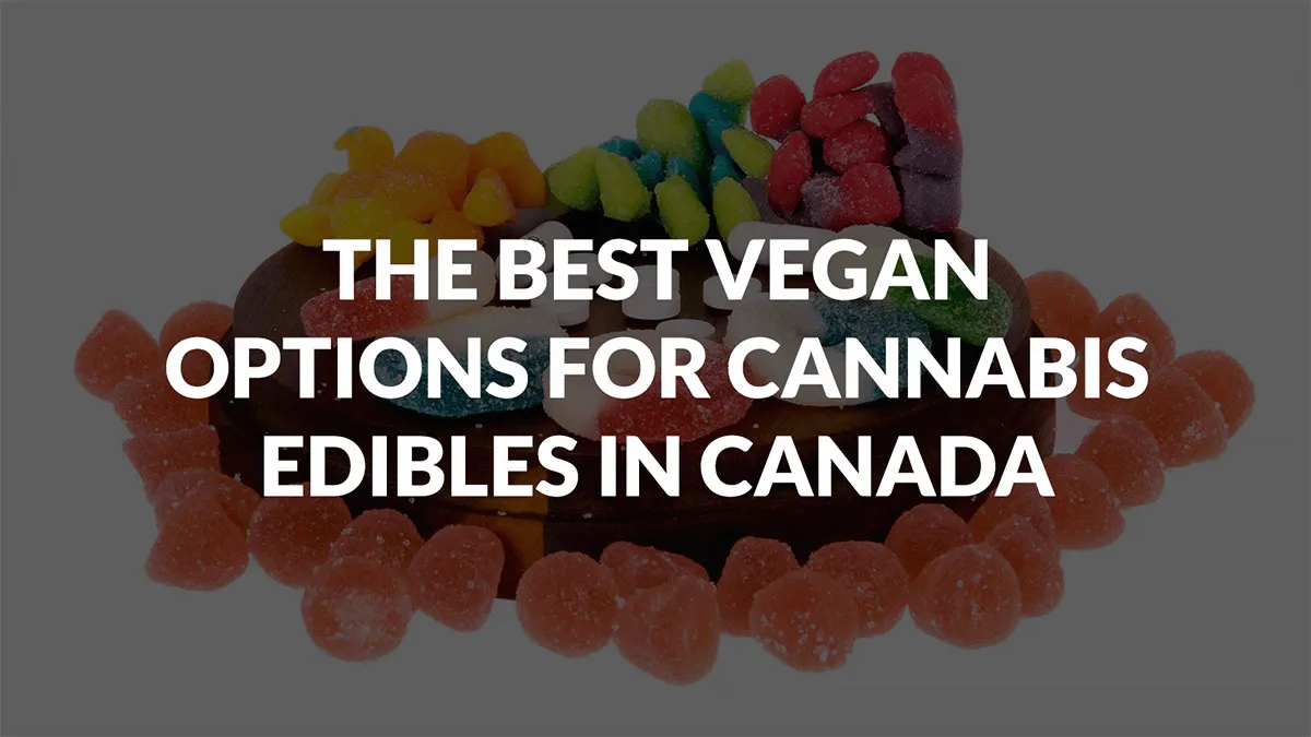The Best Vegan Options For Cannabis Edibles in Canada