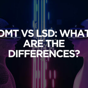 dmt-vs-lsd-what-are-the-differences