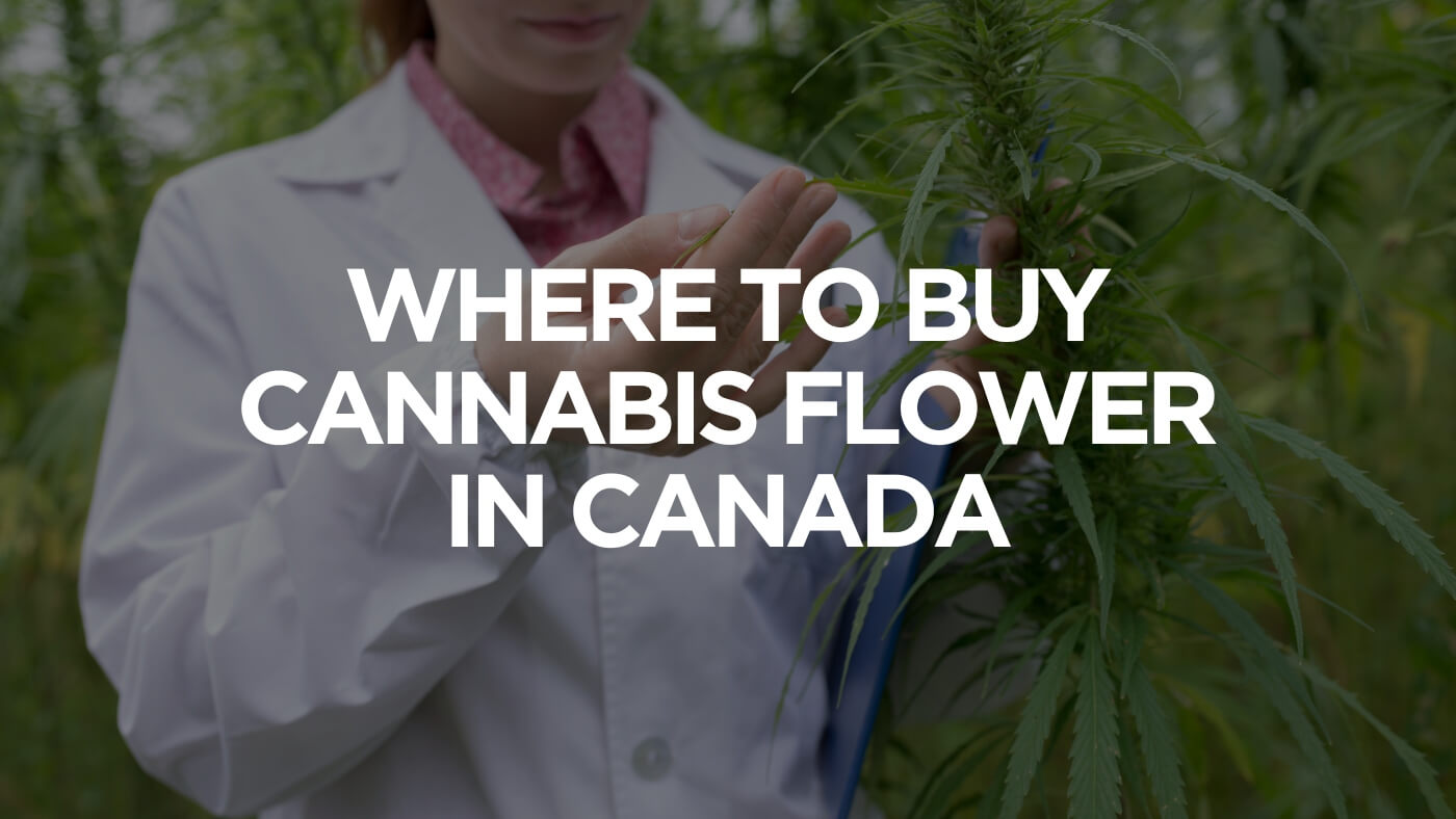 where-to-find-cannabis-flower-in-canada