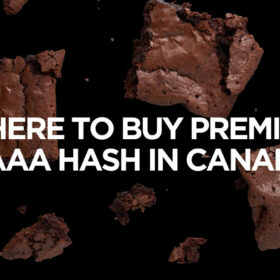 Premium AAAA Hash In Canada