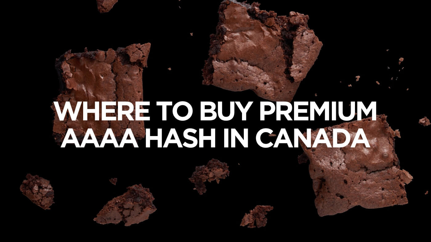 Premium AAAA Hash In Canada