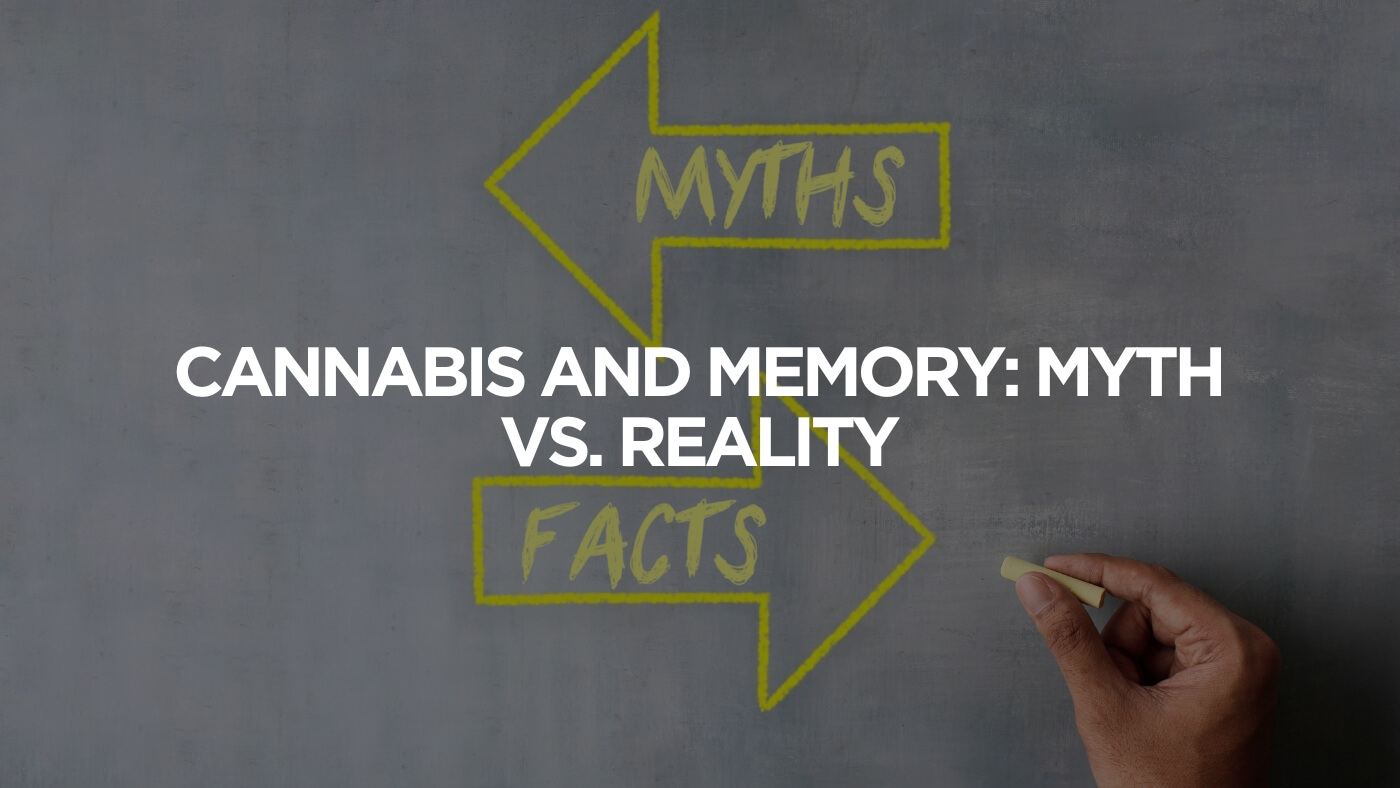 Cannabis And Memory Myth Vs. Reality