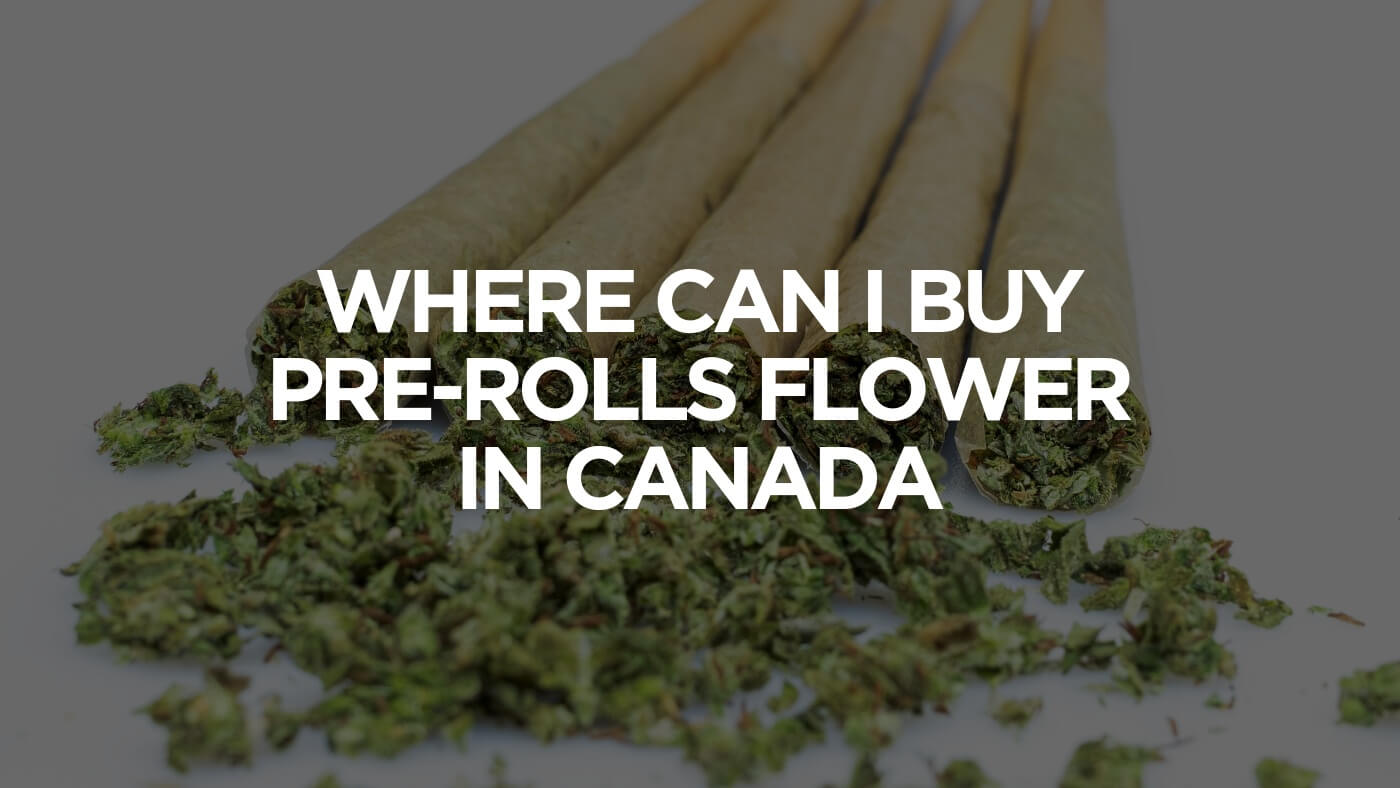 Where Can I Buy Pre-Rolls Flower In Canada